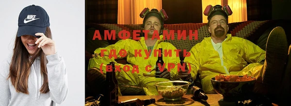 гидра Вязьма