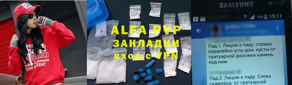 дживик Гусь-Хрустальный