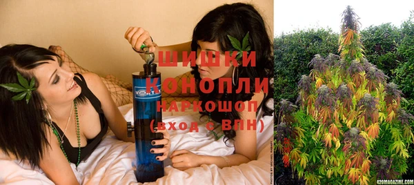 дживик Гусь-Хрустальный