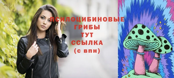 дживик Гусь-Хрустальный
