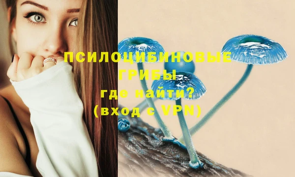 марихуана Горнозаводск