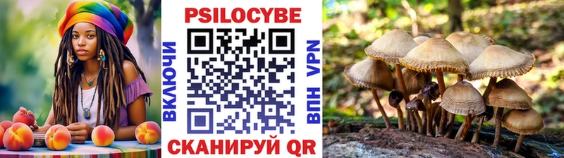 Псилоцибиновые грибы ЛСД  закладки  Ершов 